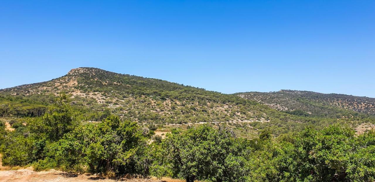 Yiangos House Villa Neo Chorio Eksteriør billede